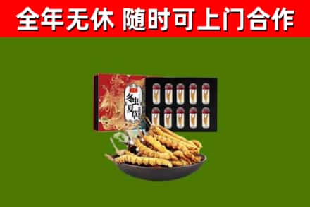 锦州烟酒回收冬虫夏草礼盒.jpg